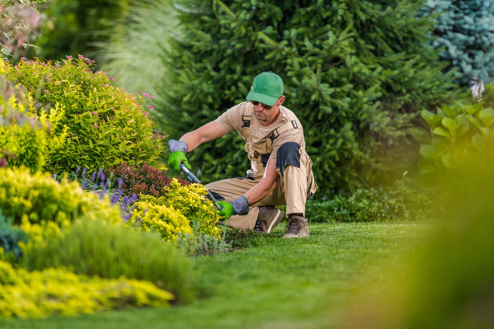 Conseils d’entretien pour avoir un beau jardin